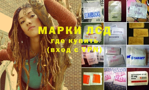 стафф Абинск