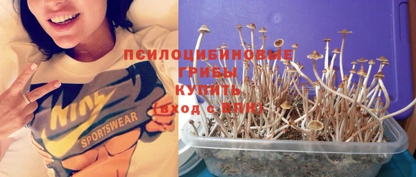 прущий лед Абаза